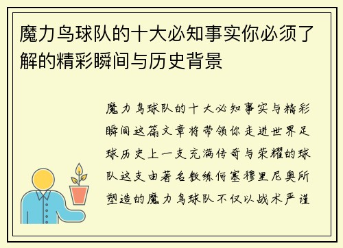 魔力鸟球队的十大必知事实你必须了解的精彩瞬间与历史背景