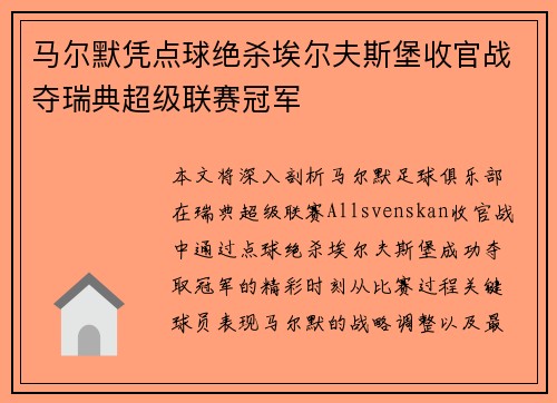 马尔默凭点球绝杀埃尔夫斯堡收官战夺瑞典超级联赛冠军